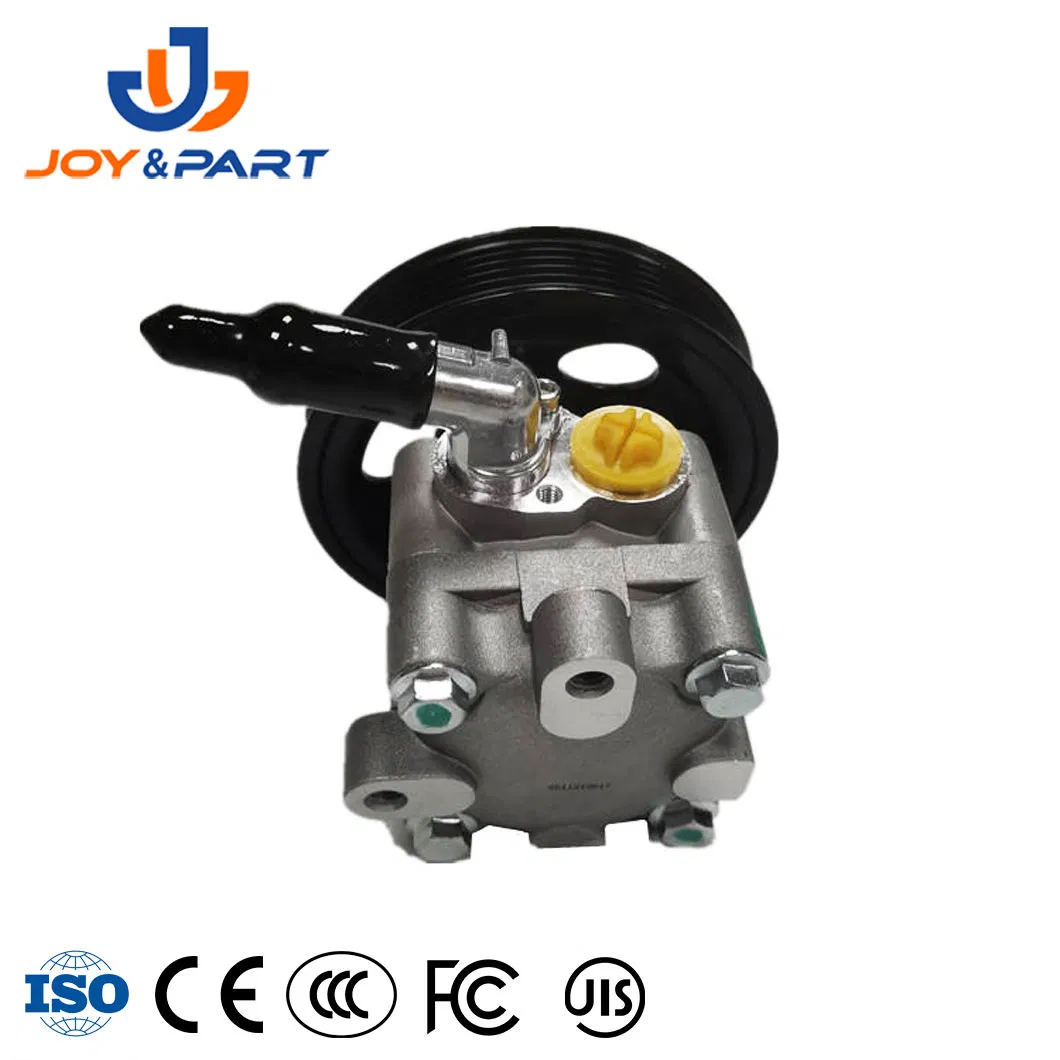 Factory Direktversorgung Auto Ersatzauto Teile 49110-8H305 Servolenking Pumpe 