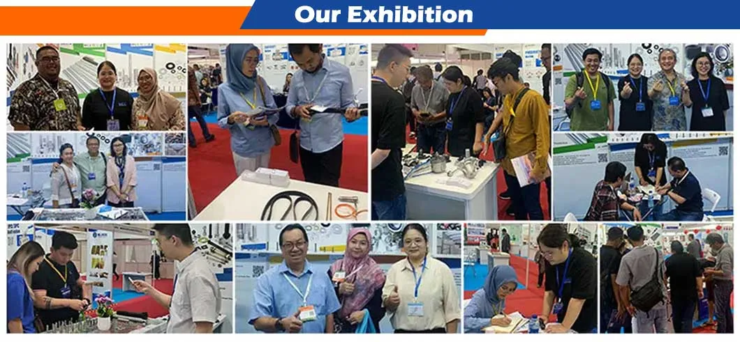 OEM/ODM Car Engine Cabin Air Filter Replacement Automotive Replacement Air Filters for Land Cruiser 