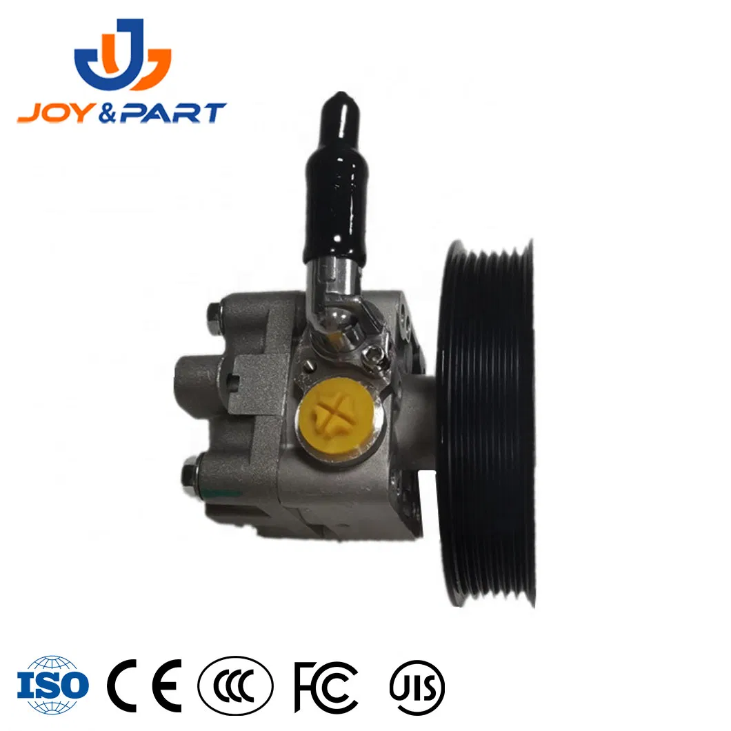 Factory Direktversorgung Auto Ersatzauto Teile 49110-8H305 Kraftwerke Lenkung Lenkung Pumpe 
