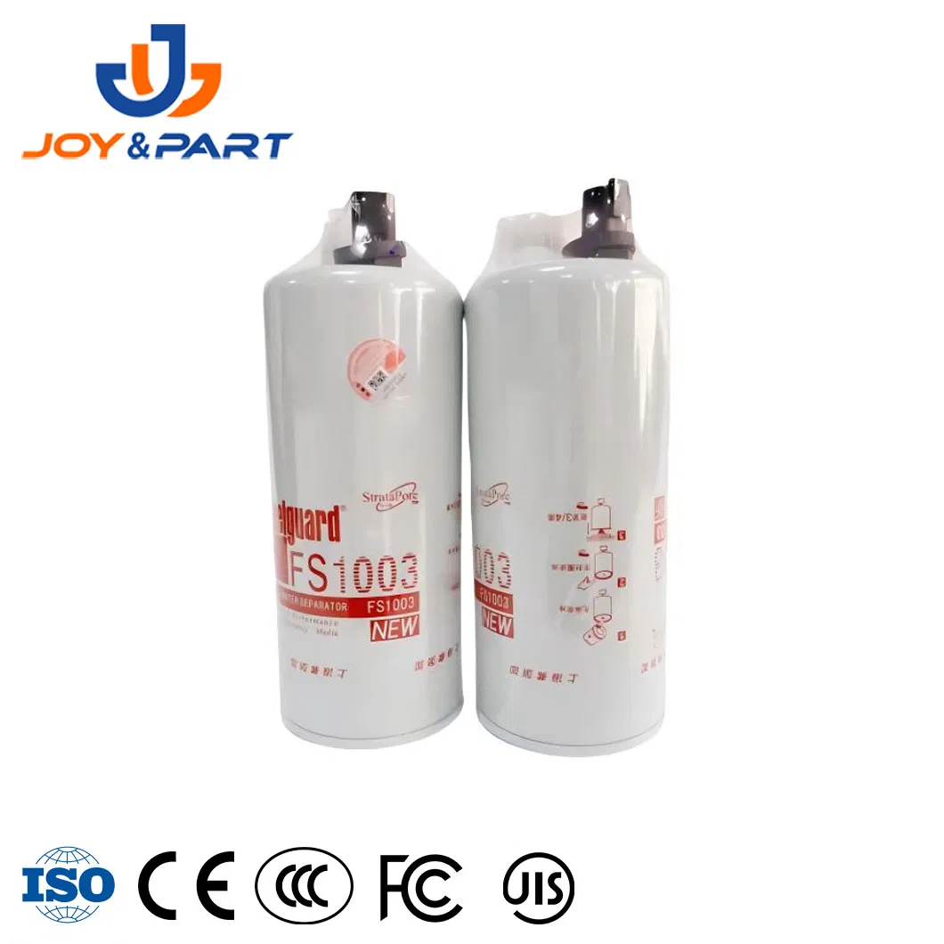 Auto Parts Fs1003 Truck Fuel Filter for Truck Engine 